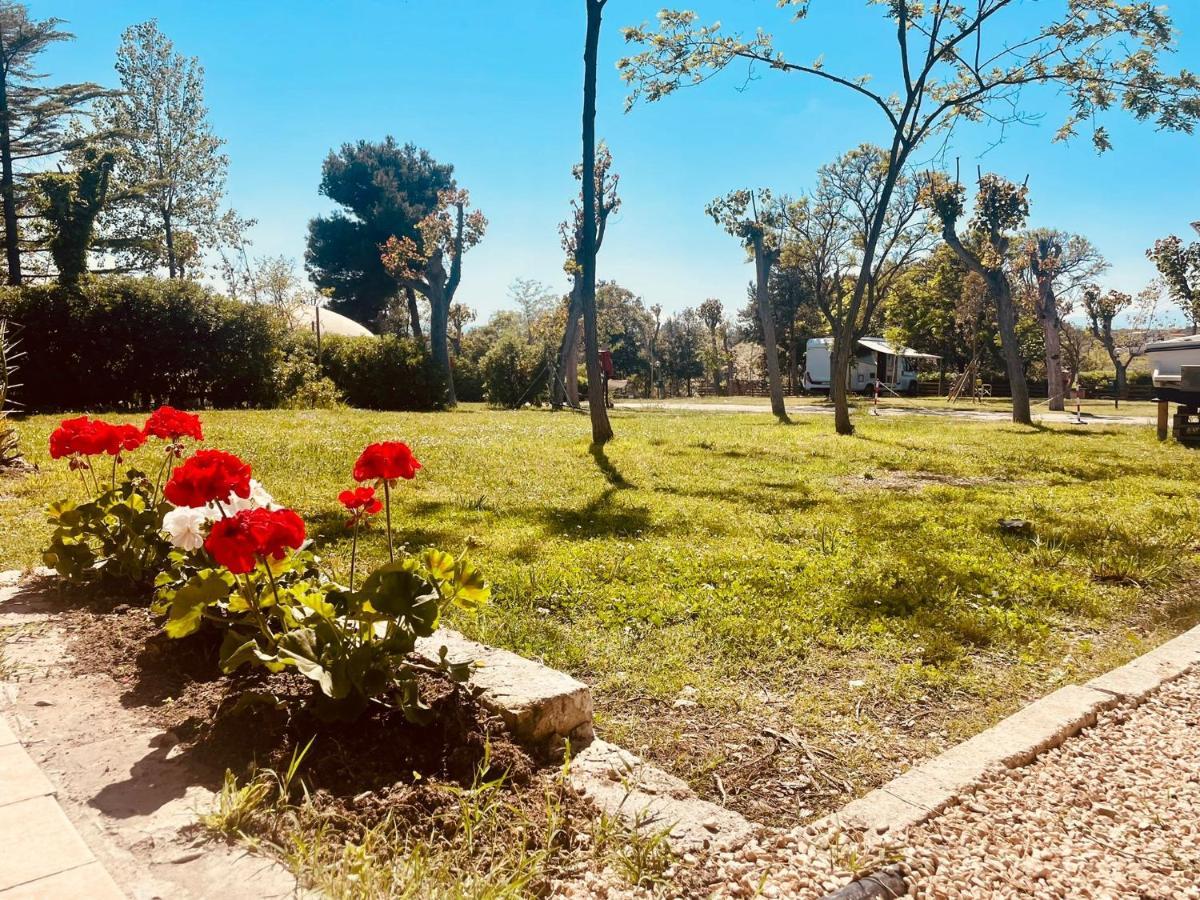 Camping Torre Mucchia Ortona Exteriör bild