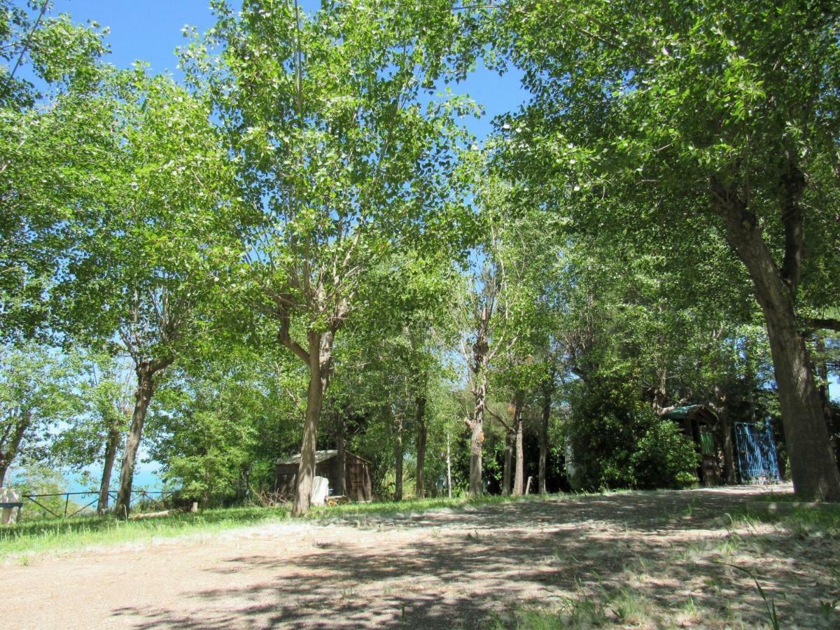Camping Torre Mucchia Ortona Exteriör bild